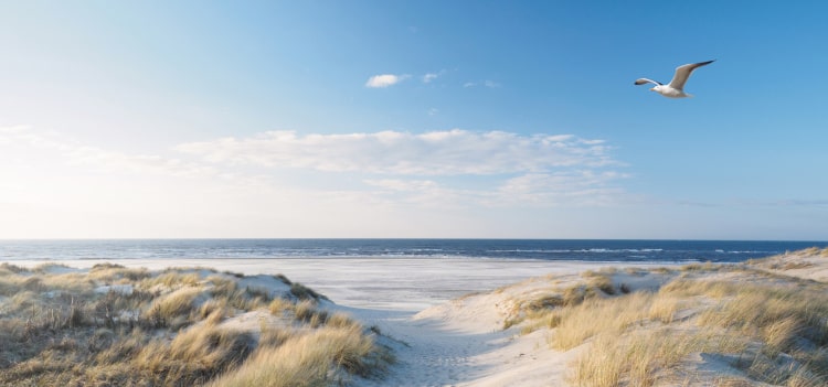Nordsee-Deich-Ausblick